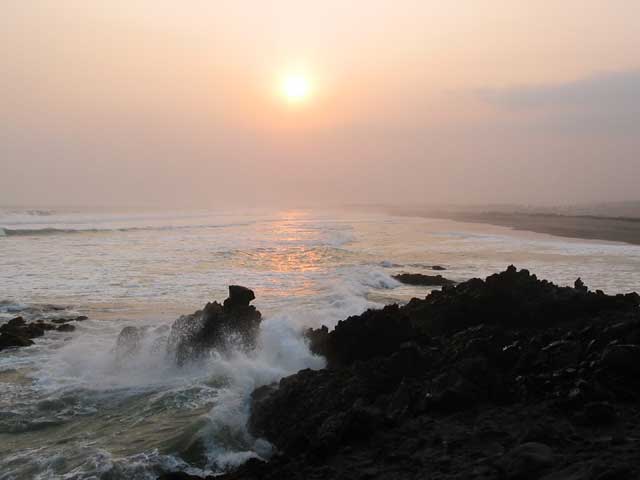 Karang Laut