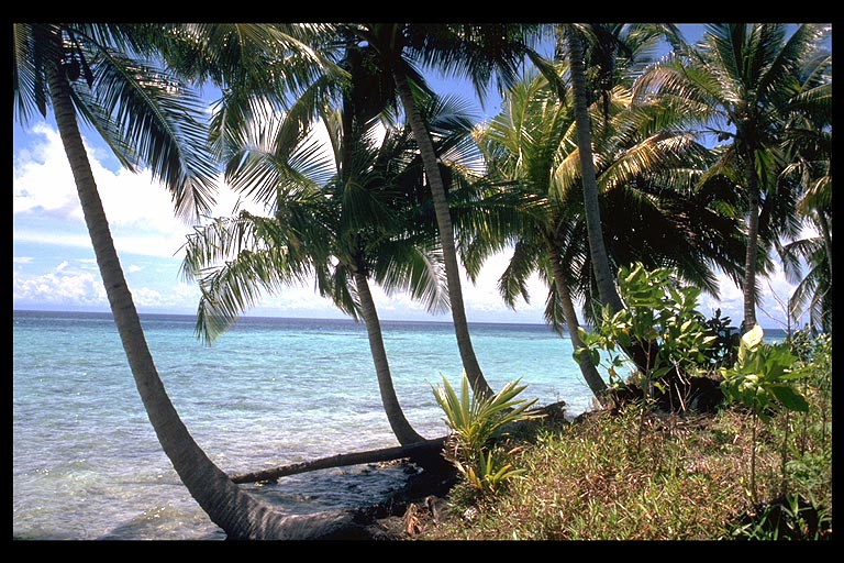 Kepulauan Banyak